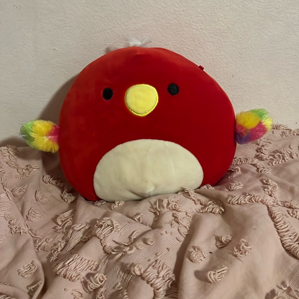 Parrot squishmallow